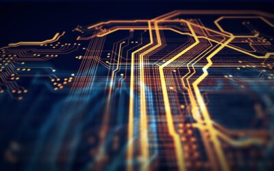 Transforming Accessibility: A Digital Evolution in the Non-Profit Sector